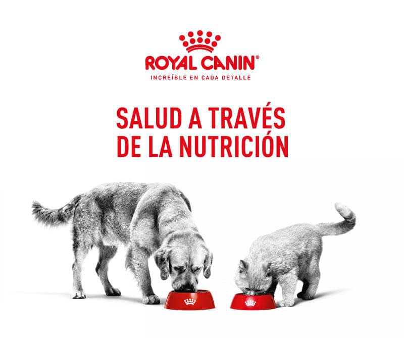 Nutrición animal | Clinica Veterinaria El Escorial | Madrid