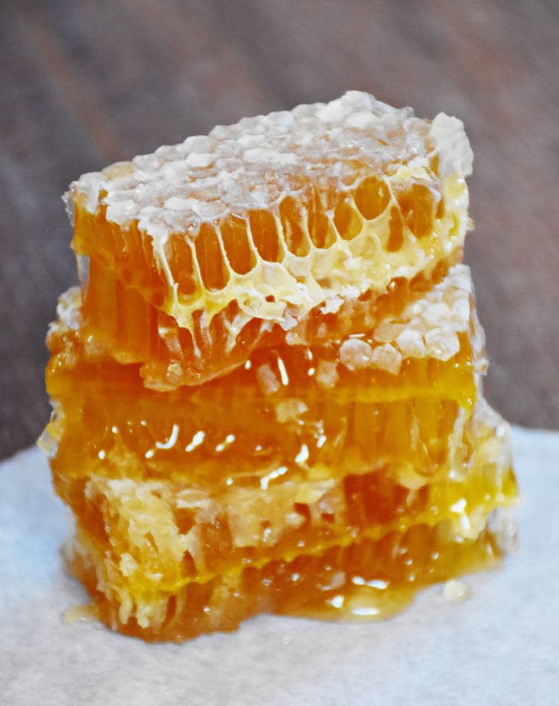 Panal de miel grande, Venta de miel artesanal de Sierra de Gata